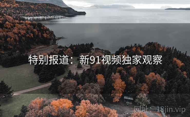 特别报道：新91视频独家观察  第2张