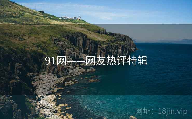 91网——网友热评特辑  第2张