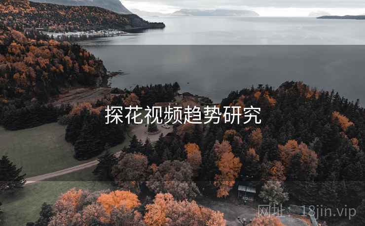 探花视频趋势研究