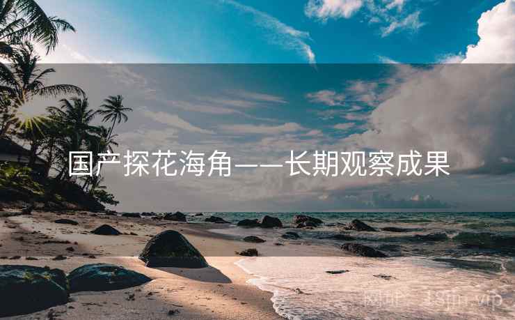 国产探花海角——长期观察成果
