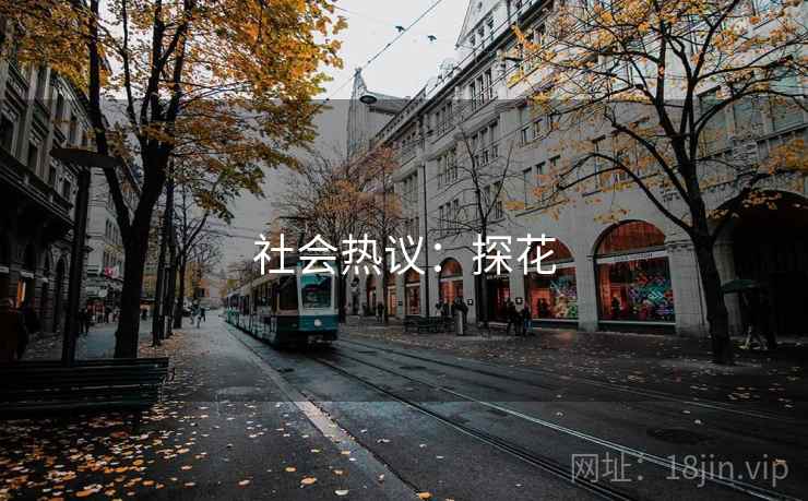 社会热议：探花