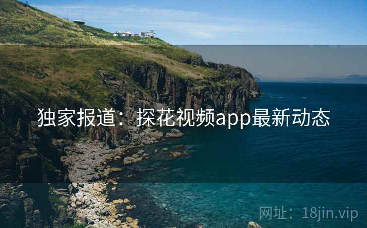 独家报道：探花视频app最新动态