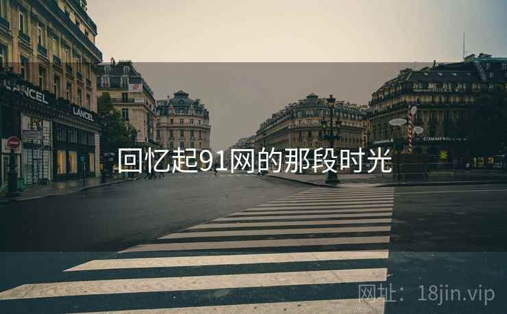 回忆起91网的那段时光