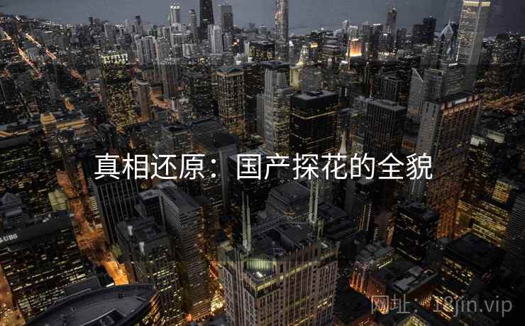 真相还原:国产探花的全貌  第1张 真相还原:国产探花的全貌  第1张