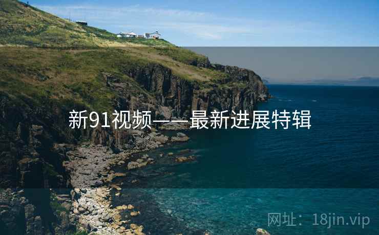 新91视频——最新进展特辑