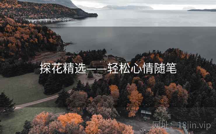 探花精选——轻松心情随笔